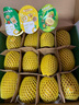 佳沛（zespri）新西兰 阳光金奇异果12粒礼盒特大果单果约122-146g 猕猴桃 水果 实拍图