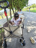 京东京造 聚拢型户外露营车折叠小推车营地车野餐摆摊双刹240斤承重迪拜沙 实拍图