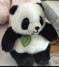 贝尚星 儿童生日玩偶男公仔中秋节礼物女生毛绒玩具摆件成都大熊猫13cm 实拍图