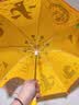 弥鹿（MiDeer）儿童雨伞联名X宫西达也恐龙小学生幼儿园宝宝雨衣雨披长柄伞礼物 雨伞-宫西达也联名款 实拍图