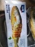海名威 冷冻宁德黄花鱼600g/条 大黄鱼 深海鱼 生鲜鱼类 海鲜水产  实拍图