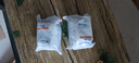 碧然德（BRITA）家用净水壶 滤水壶滤芯 MAXTRA+LE 去水垢专家滤芯 1枚装 实拍图