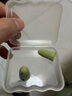 安耳悠 隔音耳塞 防噪音睡眠耳塞 工作学习降噪隔音 德国原装soft 2副装 实拍图