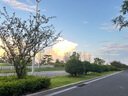 炊大皇304不锈钢三层蒸锅家用复合底汤锅蒸馒头包子可视高拱盖32cm 实拍图