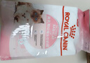 皇家幼猫奶糕 幼猫猫粮 BK34 通用粮 1-4月 2KG 实拍图