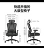 黑白调P1人体工学椅电脑椅子人工力学座椅久坐办公电竞椅学习椅国家补贴 实拍图