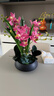 高档蕙兰仿真花假花带花瓶套装摆件家居客厅电视柜餐桌前台装饰花 黑瓶+玫红色套装 实拍图