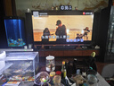 山水（SANSUI）(88B)家庭环绕影院 电视客厅组合 10寸超重低音炮 无线蓝牙 卡拉OK 唱歌K歌音响 发烧级落地音箱 88B三分频十一喇叭+U段无线话筒 实拍图