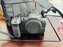 佳能（Canon）EOS R6 Mark II R62 全画幅微单相机 R6二代 4K Vlog视频直播 RF24-105mm STM套机 旅行畅玩套装 晒单实拍图