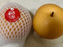 京鲜生 长城秋月梨 净重10斤 单果250g+ 生鲜水果礼盒 实拍图