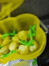 周十五益生菌蜂蜜露孕妇开塞蜜露待产包用产后哺乳期儿童蜂蜜栓礼品36支 实拍图