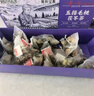 同仁堂五指毛桃土茯苓茶祛身湿茶除去气湿茶健排脾湿养生茶 5g*30包 实拍图