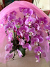 鲜花情大花蝴蝶兰盆栽带花盆【专人送花到家】乔迁送爸妈长辈同事盆栽 6株粉色蝴蝶兰-底盆随机可选A 今日达-同城配送到家-可预定 实拍图