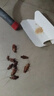 达豪强力蟑螂药灭蟑螂药粉杀蟑饵剂家用室内厨房卫生间传染灭蟑清 蟑螂药【20包】 实拍图