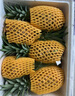 益生恩海南金钻凤梨带叶菠萝精选品质皮薄眼小当季新果香味浓郁脆甜多汁 中果9斤装（净重8.5-9斤） 实拍图