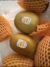 佳沛（zespri）新西兰 阳光金奇异果12粒礼盒特大果单果约122-146g 猕猴桃 水果 实拍图