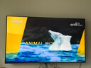 海信电视小墨E5Q Pro 65英寸超画质U+Mini LED 信芯芯片 墨晶屏300Hz 65E5Q-PRO E5NPRO+升级国家补贴 实拍图