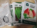 北蔬 蔬菜种子苗生菜菠菜小香葱芹菜阳台四季菜种籽 12种蔬菜种子套餐 实拍图