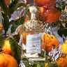娇兰（Guerlain）花草水语雪梨冰沙香型淡香水75ml化妆品礼盒生日礼物送女友 实拍图