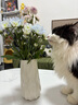 京东鲜花花瓶陶瓷摆件高级感简约奶油风水培插花鲜花玫瑰客厅餐桌装饰花器 实拍图