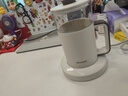 夏普多功能养生壶 电热水壶花茶壶烧水壶恒温壶 煮养生汤银耳羹茶果茶 KP-MT05L-W 白色 0.55L 实拍图