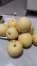 远达（YUANDA）河北皇冠梨赵县特产新鲜水果冰糖雪梨当季水果梨子整箱白梨脆甜 皇冠梨净重5斤普通装单果230g+ 实拍图