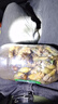 狩猎王激光炮P100分体头灯强光充电超亮头戴式手电筒远射户外钓鱼疝气矿灯超长续航大功率8锂电 P160爆亮四核【白光】八锂电 四档调光可手机充电 实拍图