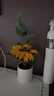 范爷家向日葵仿真花假花摆件客厅桌面盆栽花瓶高级感室内装饰女生日礼物 实拍图