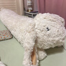 野兽派家居（tbh）月宫折桂长条抱枕月兔办公室抱枕车载抱枕睡觉夹腿抱枕玩偶靠垫 实拍图