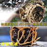 尚品刘阁兰花兰花营养土植料兰科植物专用大包装基质松皮土透气养根通用 6L【1袋】，配杀菌剂和生根粉 实拍图
