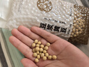 谷泰旺 东北黄豆2025年新豆打豆浆专用非转基因农家干土黄豆生批发真空 蛋白豆浆黄豆500g*2袋 实拍图