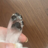 来旺兄弟猫咪剃脚毛器宠物狗狗剃毛器局部修剪电动推子LED灯PC-280白色 实拍图