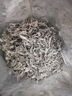 神农金康 莓茶60g特级野生张家界降三月新茶高山霉茶非湖南永顺莓茶藤茶 实拍图