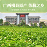 张一元茶叶茉莉花茶毛尖新春茶冷泡浓香型伴手茶礼送礼品特种200g金罐装 实拍图