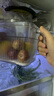 佳帮手冰箱收纳盒食品级冰箱蔬菜鸡蛋保鲜盒带把手分装盒灰透4.5L 2只装 实拍图