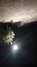亚明照明led路灯头新农村路灯工厂户外防水220v市政挑臂电线杆小区道路灯 150W（单路灯头）LED白光-亚明 实拍图