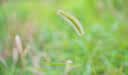 卡色（Kase）【热销已售10000+】85mmF1.4大光圈镜头全画幅人像镜头AF自动对焦适用索尼E尼康Z卡口 【送大光圈魔法镜】索尼E口全画幅 标配 实拍图