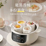 美的（Midea）电炖锅 电炖盅 隔水炖煮 家用煮粥煲汤锅燕窝炖盅4.5L白瓷内胆炖汤锅上蒸下炖MD-DZC2556多功能锅 实拍图
