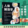 人体解剖学 实拍图