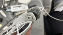 大疆 【国家补贴】DJI Neo 体感畅飞套装 掌上 Vlog 跟拍无人机 4K 高清露营旅行航拍飞行相机  实拍图