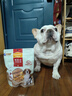 麦富迪 狗狗零食 宠物零食肉干肉条成犬幼犬通用训狗奖励零食 鸡肉卷甘薯2kg（400g*5） 实拍图