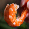 海鲜颂即食大虾干烤虾干虾仁干海虾干海产干货零食干虾海鲜特产源头直发 烤虾干XL 净重500g 实拍图