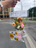 柏爱向日葵手工编织永生花束毕业送老师中高考祝福励志一举夺魁生日 实拍图