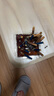 COODORA一次性烟灰缸100件装 自带灭烟沙防烟味车载烟灰缸防飞灰凝胶 实拍图