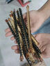 蜈蚣干中药材红头黑背粉少棘清水全虫全蝎干中药材蝎子干货 国产蜈蚣10条(16厘米以上) 整只 实拍图