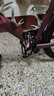 西骑者（WestBiking）三培林自行车脚踏板铝合金山地车通用轴承脚蹬公路单车配件 黑色 实拍图