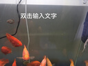 德瑞水族 鱼饲料血鹦鹉增红增艳专用鱼粮鱼食发财鱼金鱼锦鲤饲料1200g 实拍图