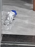 【全网爆款】手动UV折叠雨伞男女晴雨伞两用防晒遮阳黑胶伞 【新人福利】7骨手动纯色 颜色随机 实拍图