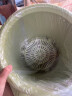 爱丽思花盆塑料圆形树脂多肉花盆种花种菜盆绿萝爱丽丝 浅绿口径30.1cm 实拍图