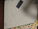 喜临门母婴适用 诺蓝国补偏硬支撑脊椎黄麻 A类亲肤面料 双核抗菌防螨床 【0胶升级】诺蓝10H 【部分京仓闪发】 100*200cm 实拍图